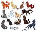 Which warrior cat are you most like?