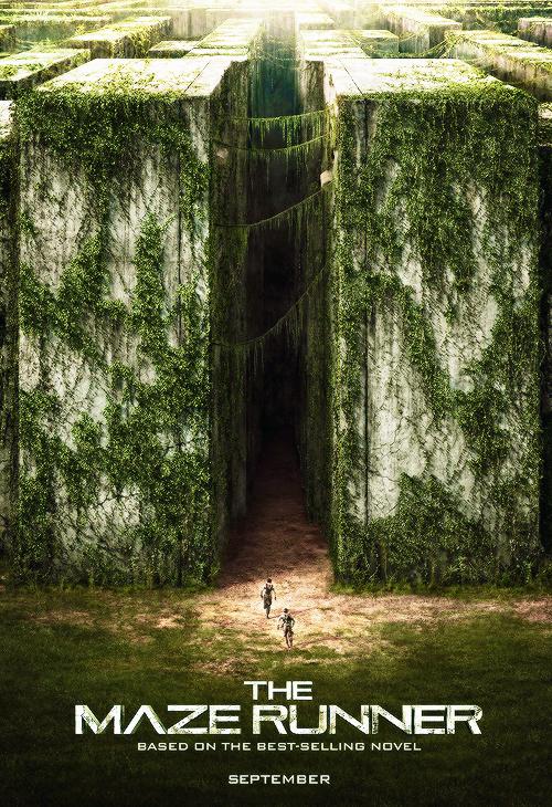 How well do you know the Maze Runner? (1) How well do you know the Maze Runner? (1)