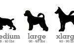 What dog size would best benefit you?
