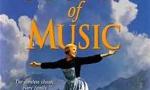 Which character from the sound of music are you?