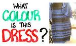 What Color Is the Dress - The Test