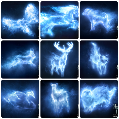 Patronus Quiz