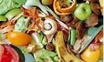 Why is it so important to reduce food wastage?