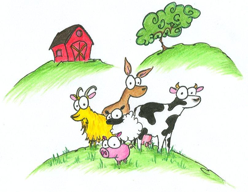 Animal Quiz Animal Quiz