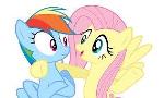 Are you Rainbow Dash or Fluttershy