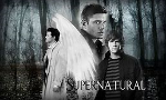 What supernatural are you? ( original one made by furry)