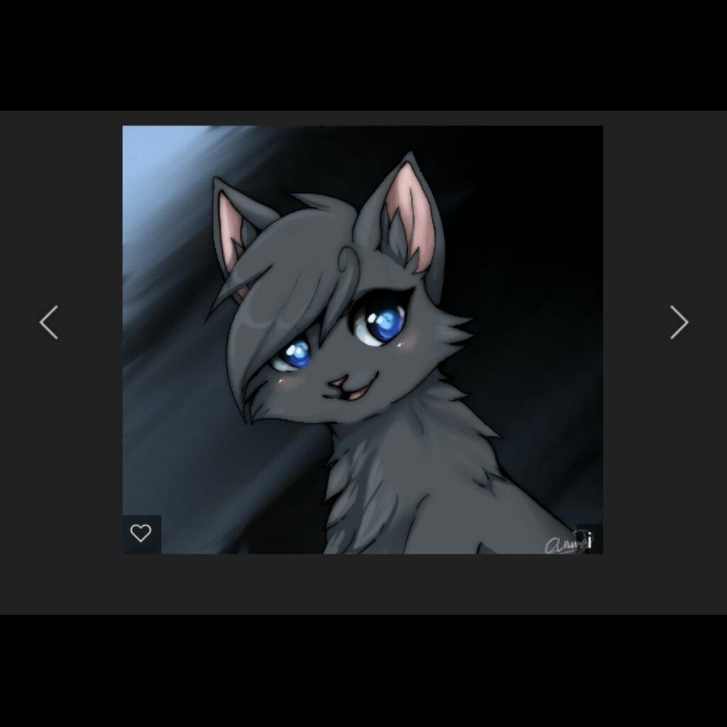 Which Medicine Cat Are You? (1) Which Medicine Cat Are You? (1)