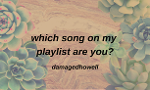 which song on my playlist are you?