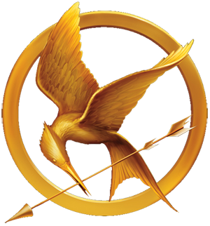 who are you from hunger games who are you from hunger games