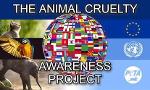 Animal Cruelty Personality Quiz