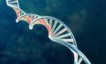 Gene Therapy quiz