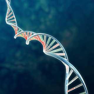 Gene Therapy quiz Gene Therapy quiz
