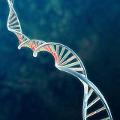 Gene Therapy quiz