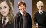 Which Harry Potter character are you? (13)