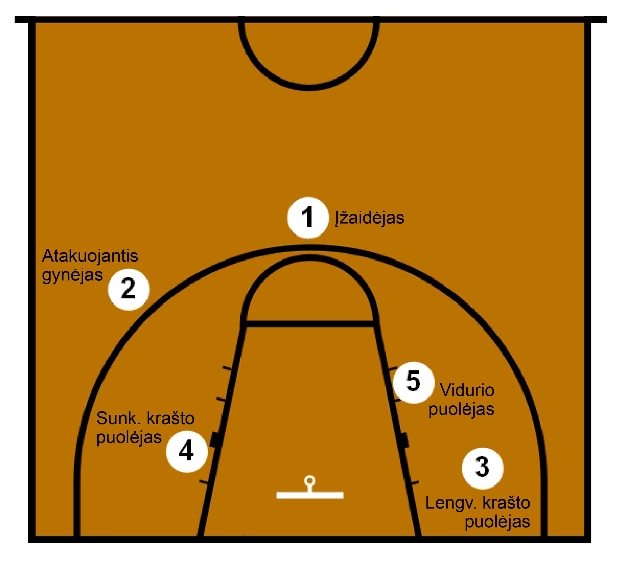 Basketball Positions Quiz (1)