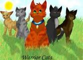 what warrior cat are you (1)