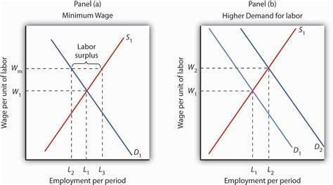Labor Economics Quiz