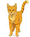 how well do you know Firestar from warriors?