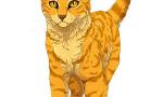 how well do you know Firestar from warriors?