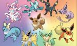 What do the eeveelutions think of you?