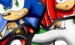 Sonic WWFFY (1)