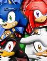 Sonic WWFFY (1)