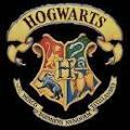 The Hogwarts Sorting Hat Quiz :)