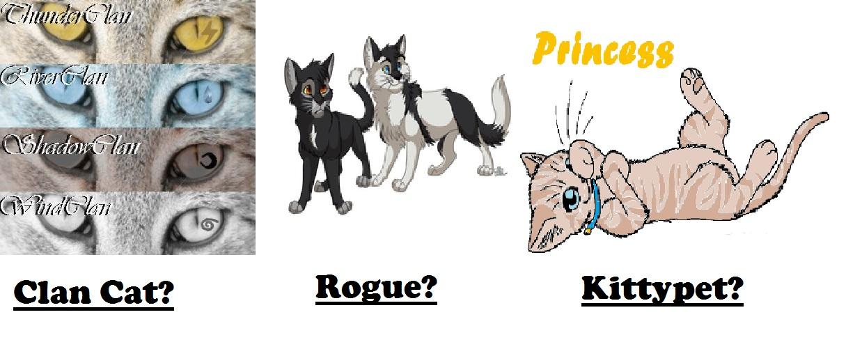 What Kind Of Cat Are You? (1) What Kind Of Cat Are You? (1)