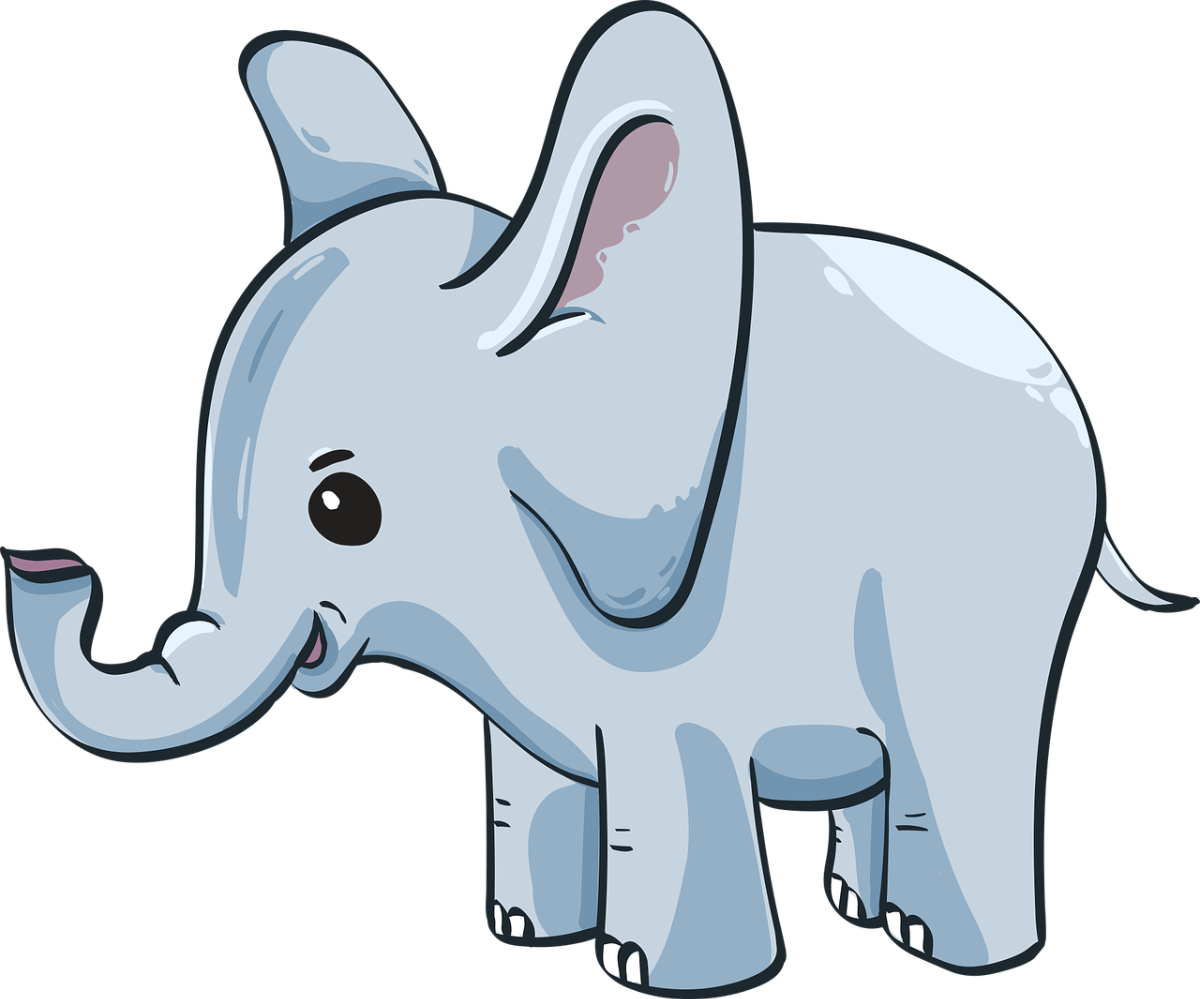 Elephant Knowledge Quiz