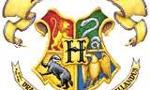 which Hogwarts house do you really belong in?