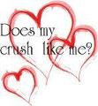 Does ur crush like u?