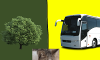 tree or bus