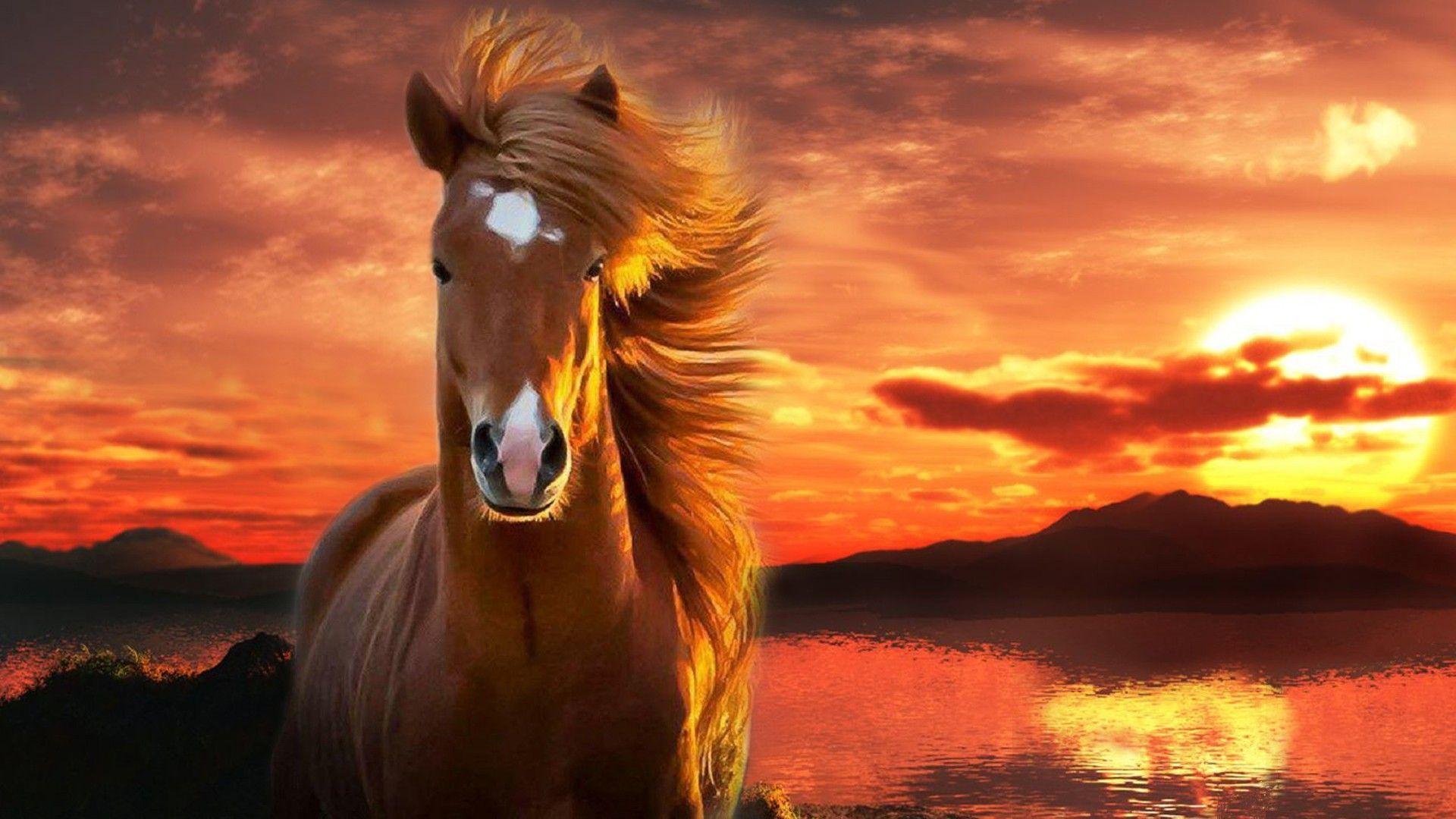 Horse Quiz--Super Challenging Horse Quiz--Super Challenging