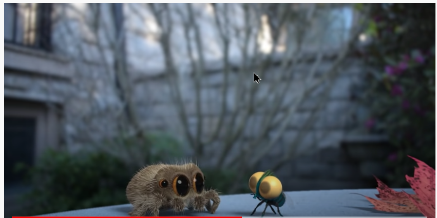 lucas the spider quiz