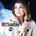 Grey's Anatomy Quiz
