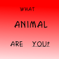 WHAT ANIMAL ARE YOU???