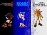 Hat sonic character are you? (1)