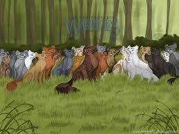 What warrior cat Are you? (4) What warrior cat Are you? (4)