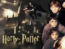 Do you love Harry Potter?