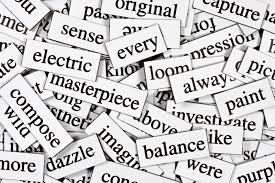Basic Vocabulary Quiz Basic Vocabulary Quiz