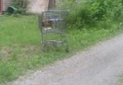 If you were a shopping cart, where would you get left?
