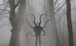 Will Slenderman Kill You If You Were Lost In The Woods At Night?