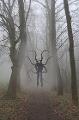 Will Slenderman Kill You If You Were Lost In The Woods At Night?