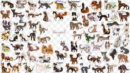 Out of Lionblaze, Jayfeather and Hollyleaf which one are you?