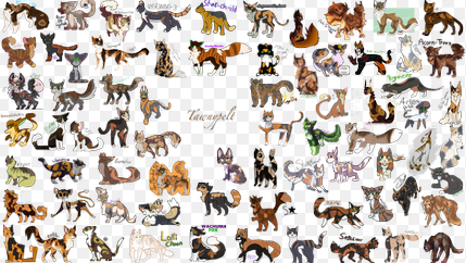 Out of Lionblaze, Jayfeather and Hollyleaf which one are you? Out of Lionblaze, Jayfeather and Hollyleaf which one are you?