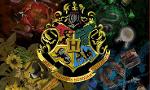 Truth or Dare... This will reveal your Hogwarts house