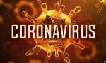 Should YOU be afraid of the coronavirus