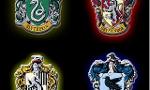 In what Hogwarts House do you belong in?