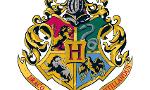 What is your Hogwarts house? (1)