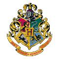 What is your Hogwarts house? (1)
